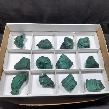 (WM04517) One Box Of 12 Botryoidal Malachite Mineral Specimens From Congo   Andrew Ferras - Image 2