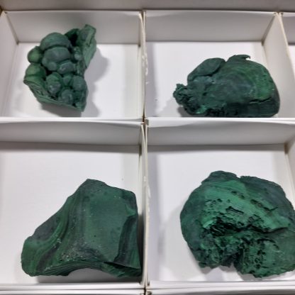 (WM04517) One Box Of 12 Botryoidal Malachite Mineral Specimens From Congo   Andrew Ferras - Image 3