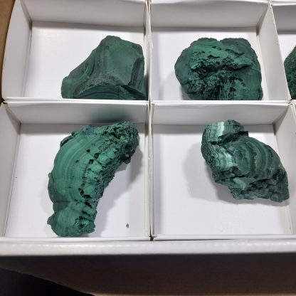 (WM04517) One Box Of 12 Botryoidal Malachite Mineral Specimens From Congo   Andrew Ferras - Image 4