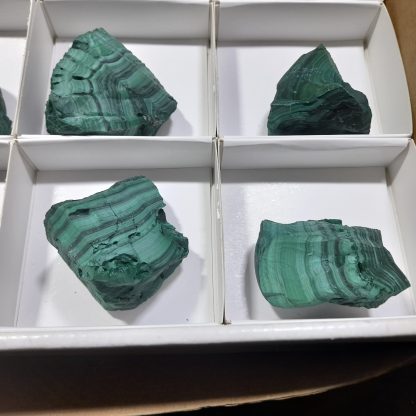 (WM04517) One Box Of 12 Botryoidal Malachite Mineral Specimens From Congo   Andrew Ferras - Image 5
