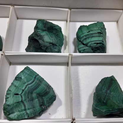 (WM04517) One Box Of 12 Botryoidal Malachite Mineral Specimens From Congo   Andrew Ferras - Image 6