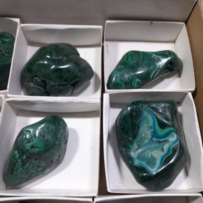 (WM04522) One Box Of 12 Hand Polished Malachite Mineral Specimens From Congo - Image 6