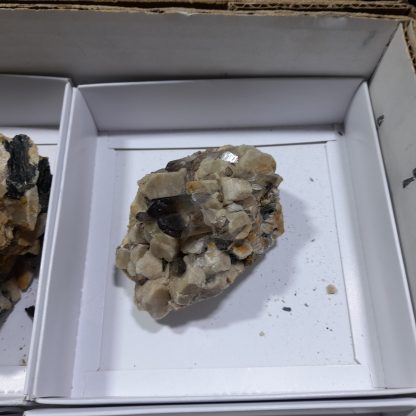 (WM04531) One Box Of 6 Aegerine/Feldspar With Smoky Quartz Crystals From Malawi (JP) - Image 7