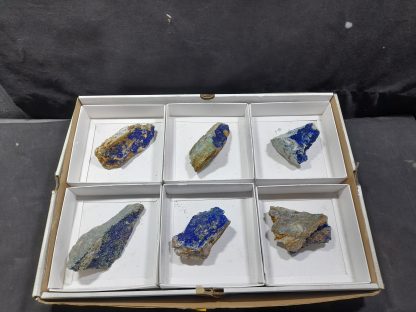 (WM04547) One Box Of 6 Azurite Mineral Specimens From Congo   Chip Fryer - Image 2