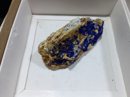 (WM04547) One Box Of 6 Azurite Mineral Specimens From Congo   Chip Fryer - Image 3