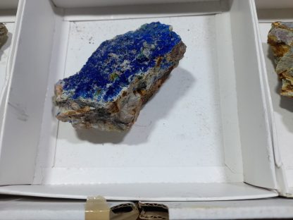 (WM04547) One Box Of 6 Azurite Mineral Specimens From Congo   Chip Fryer - Image 5