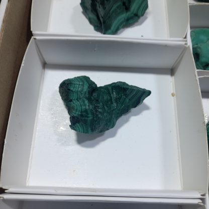 (WM04574) One Box Of 28 Botryoidal Malachite Mineral Specimens From Congo - Image 4