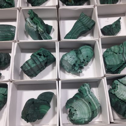 (WM04574) One Box Of 28 Botryoidal Malachite Mineral Specimens From Congo - Image 9