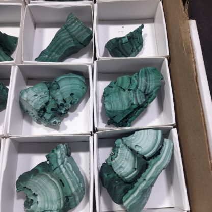 (WM04574) One Box Of 28 Botryoidal Malachite Mineral Specimens From Congo - Image 10
