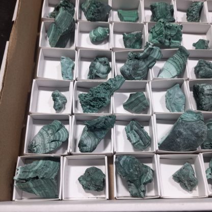 (WM04569) One Box Of 88 Botryoidal Malachite Mineral Specimens From Congo   Amy Dumond - Image 4