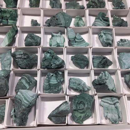 (WM04569) One Box Of 88 Botryoidal Malachite Mineral Specimens From Congo   Amy Dumond - Image 5