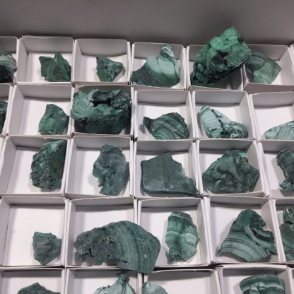 (WM04569) One Box Of 88 Botryoidal Malachite Mineral Specimens From Congo   Amy Dumond - Image 6