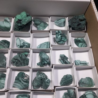 (WM04569) One Box Of 88 Botryoidal Malachite Mineral Specimens From Congo   Amy Dumond - Image 7