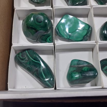 (WM04586) One Box Of 12 Polished Malachite Mineral Specimens From Congo - Image 4