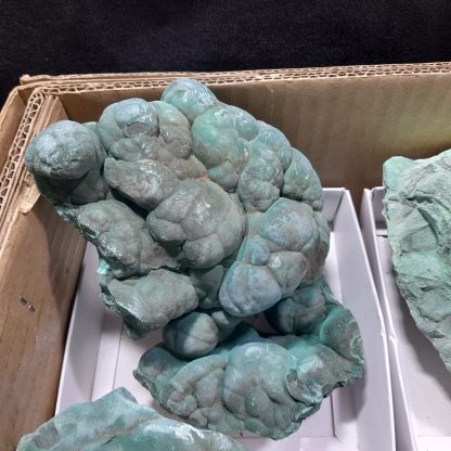 (WM04591) One Box Of 6 Botryoidal Malachite Mineral Specimens From Congo    Tyler Smith - Image 3