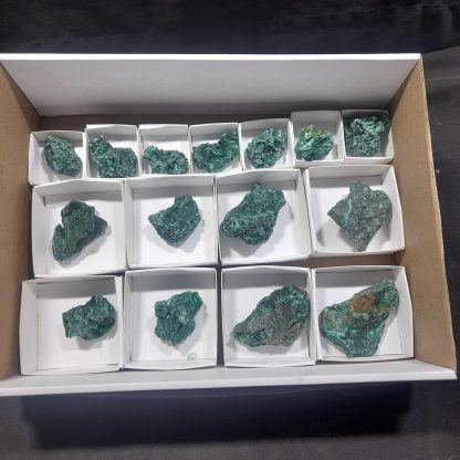 (WM04624) One Box Of 15 Silky Malachite Mineral Specimens From Congo   Chip Fryer - Image 2