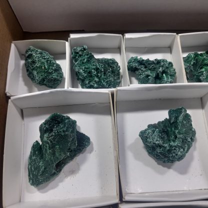 (WM04624) One Box Of 15 Silky Malachite Mineral Specimens From Congo   Chip Fryer - Image 3