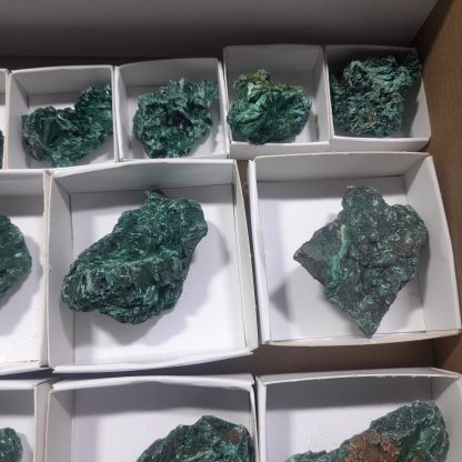 (WM04624) One Box Of 15 Silky Malachite Mineral Specimens From Congo   Chip Fryer - Image 4