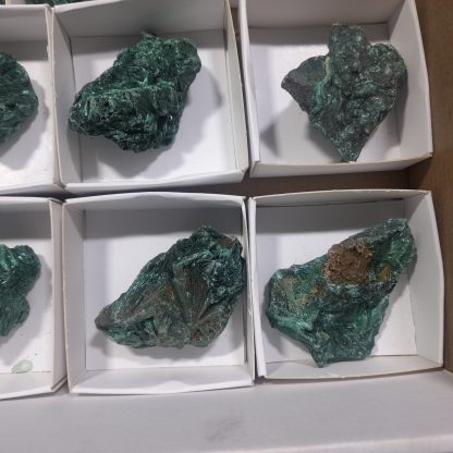 (WM04624) One Box Of 15 Silky Malachite Mineral Specimens From Congo   Chip Fryer - Image 5