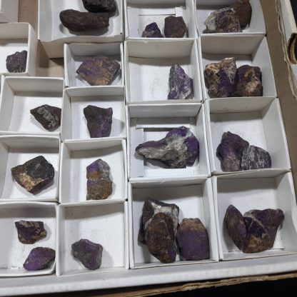 (WM04660) One Box Of 49 Purpurite Mineral Specimens From Uis, Namibia - Image 7