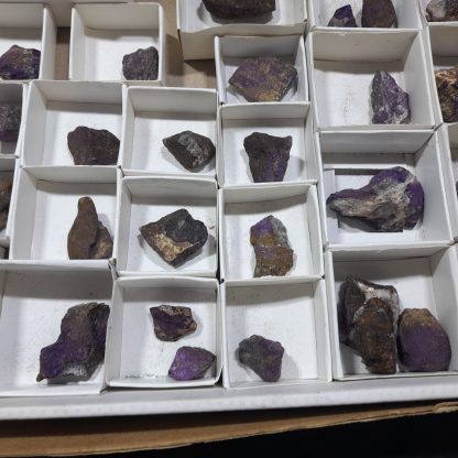 (WM04660) One Box Of 49 Purpurite Mineral Specimens From Uis, Namibia - Image 8