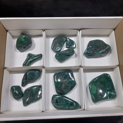 (WM04663) One Box Of 12 Hand Polished Malachite Mineral Specimens From Congo   Miss Saint-Clair - Image 2