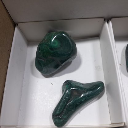 (WM04663) One Box Of 12 Hand Polished Malachite Mineral Specimens From Congo   Miss Saint-Clair - Image 3