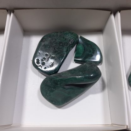 (WM04663) One Box Of 12 Hand Polished Malachite Mineral Specimens From Congo   Miss Saint-Clair - Image 5