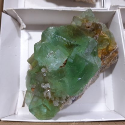(WM04679) One Box Of 6 Fluorite Mineral Specimens From Richtersveld - Image 8