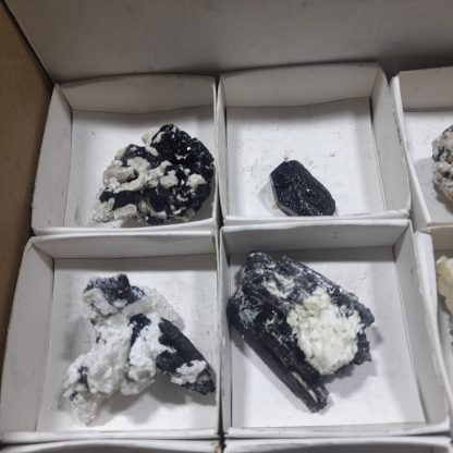 (WM04697) One Box Of 12 Tourmaline/Feldspar Mineral Specimens From Namibia   Jason Tomporowski - Image 3