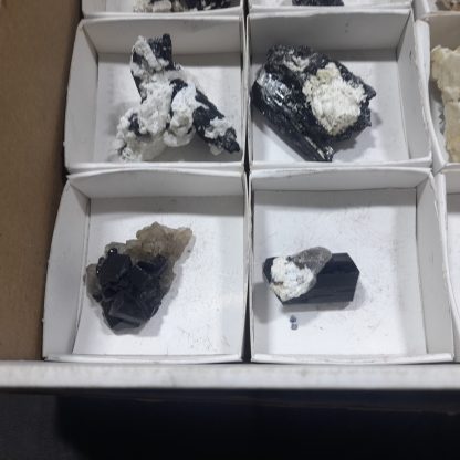(WM04697) One Box Of 12 Tourmaline/Feldspar Mineral Specimens From Namibia   Jason Tomporowski - Image 4