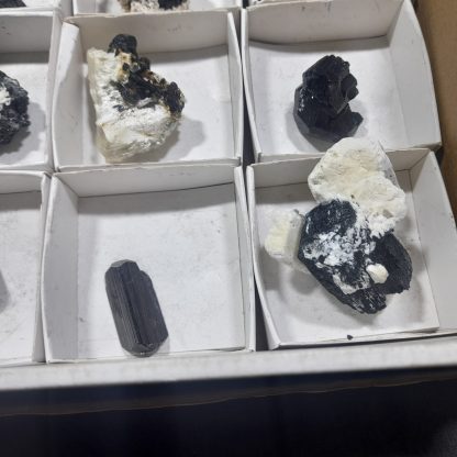 (WM04697) One Box Of 12 Tourmaline/Feldspar Mineral Specimens From Namibia   Jason Tomporowski - Image 5