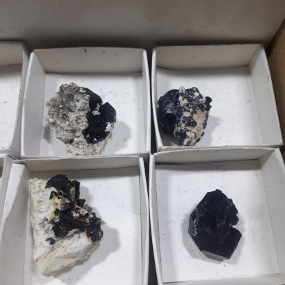 (WM04697) One Box Of 12 Tourmaline/Feldspar Mineral Specimens From Namibia   Jason Tomporowski - Image 6