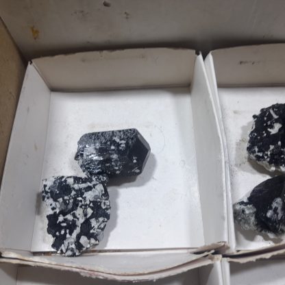 (WM04696) One Box Of 12 Tourmaline Mineral Specimens From Namibia   Jason Tomporowski - Image 3