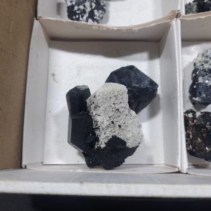 (WM04696) One Box Of 12 Tourmaline Mineral Specimens From Namibia   Jason Tomporowski - Image 4