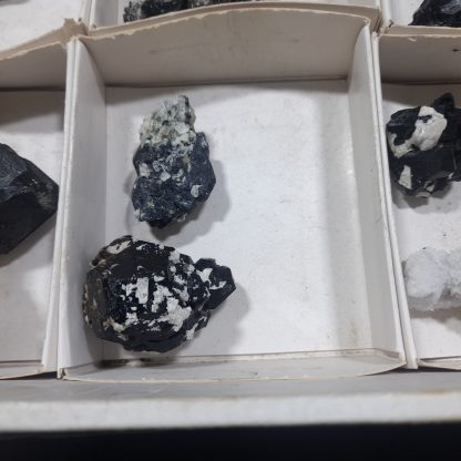 (WM04696) One Box Of 12 Tourmaline Mineral Specimens From Namibia   Jason Tomporowski - Image 5
