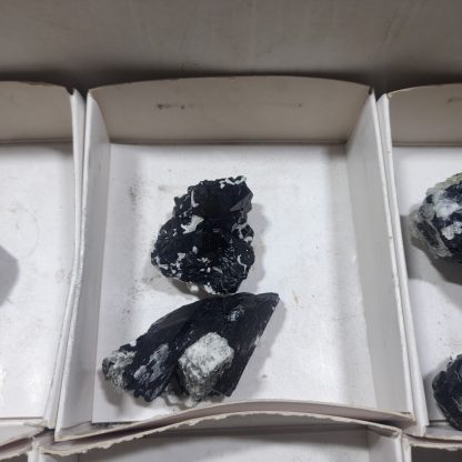 (WM04696) One Box Of 12 Tourmaline Mineral Specimens From Namibia   Jason Tomporowski - Image 6