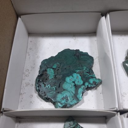 (WM04707) One Box With 4 Pieces Of Mtorolite From Zimbabwe And 2 Pieces Of Polished Malachite From Congo - Image 3