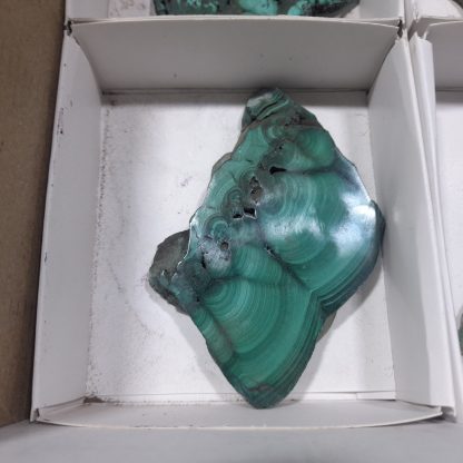 (WM04707) One Box With 4 Pieces Of Mtorolite From Zimbabwe And 2 Pieces Of Polished Malachite From Congo - Image 4