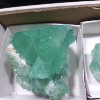 (WM04705) One Box Of 6 Emerald Green Fluorite Mineral Specimens From Riemvasmaak    Jason Tomporowski - Image 3