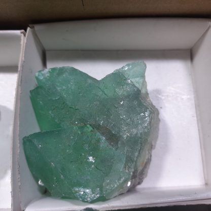 (WM04705) One Box Of 6 Emerald Green Fluorite Mineral Specimens From Riemvasmaak    Jason Tomporowski - Image 6