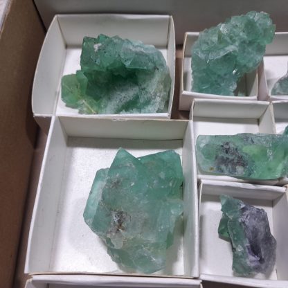 (WM04712) One Box Of 52 Emerald Green Fluorite Mineral Specimens From Riemvasmaak Jason Tomporowski - Image 3
