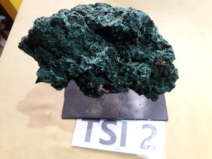 Silky Malachite from Congo     Joe Funson