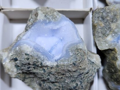 (WM04720) One Box 6 of Blue Lace Agate from Malawi    Carol Freeman - Image 3