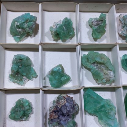 (WM04726) One Box Of 15 Emerald Green Fluorite Mineral Specimens From Riemvasmaak - Image 3
