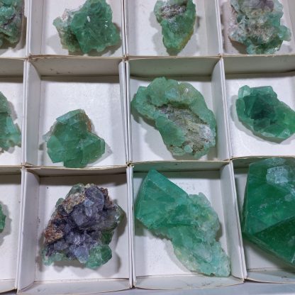 (WM04726) One Box Of 15 Emerald Green Fluorite Mineral Specimens From Riemvasmaak - Image 6