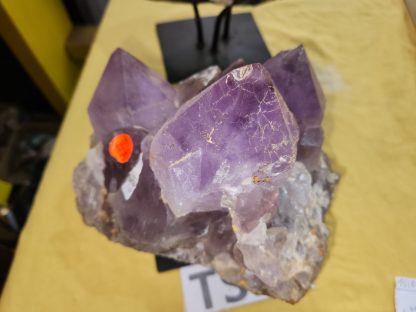 Large Amethyst Cluster from Zambia      Ross Atic