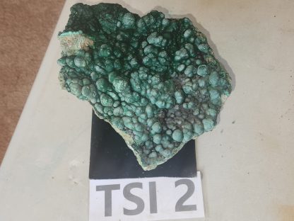 Botryoidal Malachite from Congo Tyler Smith