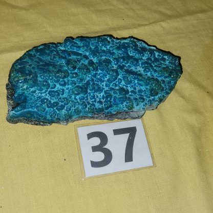 Botryoidal Chrysocolla from Congo   Chris Payne