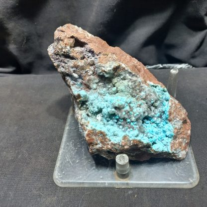 Botryoidal Chrysocolla Piece 2 Chris Payne